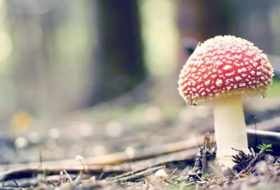 ​工作月总结，个人月度工作内容总结3篇