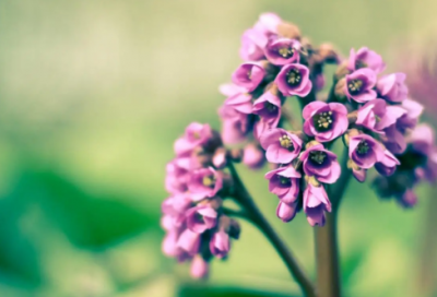 ​平凡的世界读书心得（人生的真相，是苦乐参半）