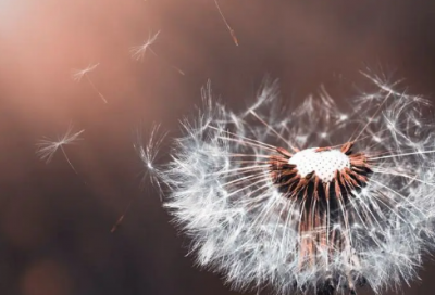 ​办公室工作总结，办公室（政务）2022年工作总结