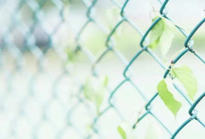 ​童年的主要内容和讲解