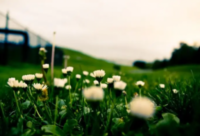 ​党建工作总结（经典实用的机关党建工作总结报告）