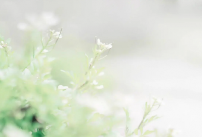 ​鲁冰花观后感（一部赚足观众眼泪的神片）