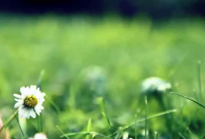 ​红星照耀中国读书笔记（斯诺和陌生人对话）