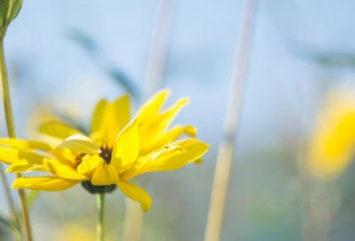 ​百年孤独读后感（真正读懂了人生）