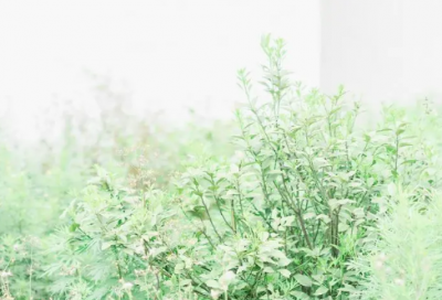 ​社团工作总结（精选范文3篇）