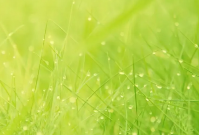 ​强国有我观后感（灾难背后的凝视）