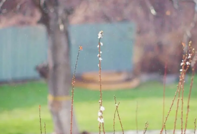 ​实习体会精选3篇（老师实习心得体会）