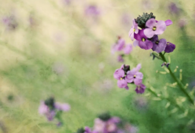 ​失恋33天观后感（在刚刚好的时间遇见对的人）