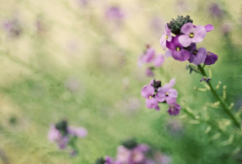 1710080468589513.png image.png