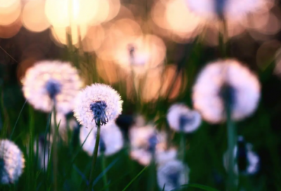 ​飘读后感（精选3篇）