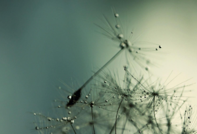 ​战争与和平读后感（天不渡人，人自渡）