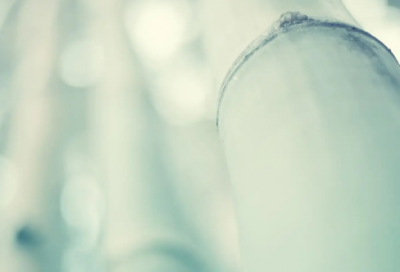 ​读《西游记》有感（信念照亮我们的人生）