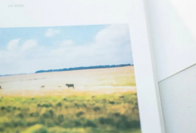 ​你好李焕英简介以及主要内容