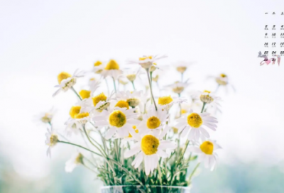 ​战争与和平，俄国文学史上最伟大的作品