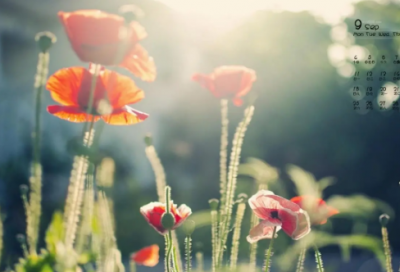 ​如何提升团队凝聚力，提升团队凝聚力的方法