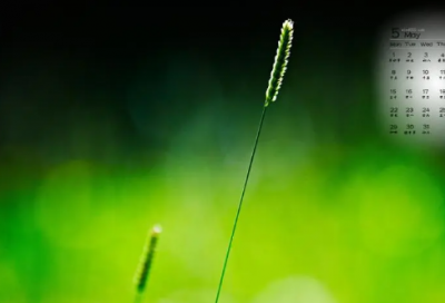 ​电影《搜索》观后感：别让网络暴力毁了这个时代