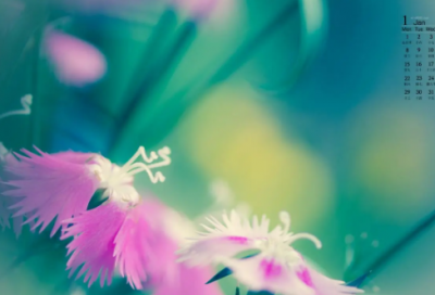 ​会计实习心得，实习会计工作总结