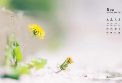 ​教师节活动总结（教师节活动个人总结范文精选3篇）