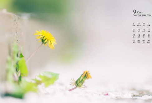 1710083517625733.png image.png