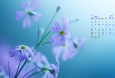 ​《偷偷藏不住》经典语句30句