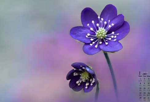 1710084025527803.png image.png