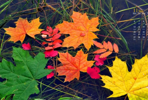 1710084194305817.png image.png