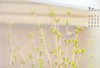 ​幼儿园培训心得（新幼师培训心得体会）