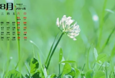 ​格列佛游记主要内容