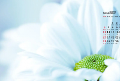 ​谁动了我的奶酪（看懂了，少走十年弯路）