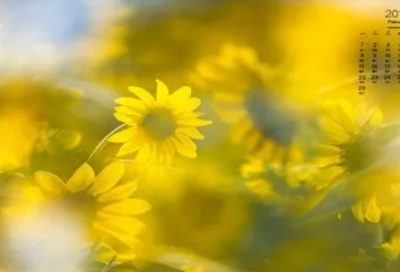 ​班会总结（把家长会开成教育专题会）