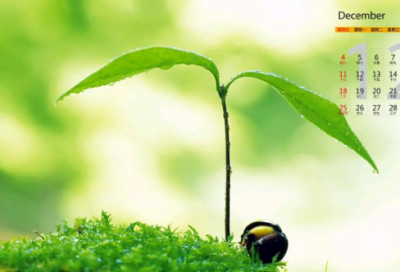 ​唐山大地震的观后感（生命易逝，且行且珍惜）
