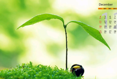 1710086057206522.png image.png