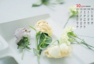 ​自我介绍作文500字汇总5篇（新学期给同学的自我介绍）