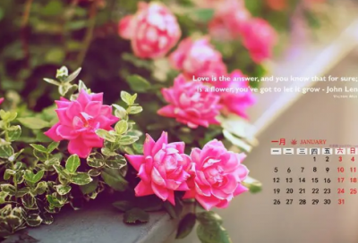 ​大学生活感悟（新起点新征程）