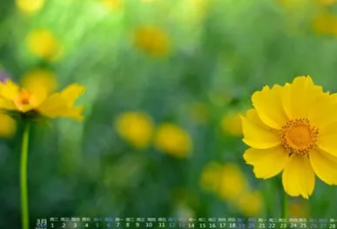 1710086904431421.png image.png