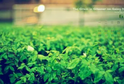 ​个人能力评价（工作能力的自我评价4篇）