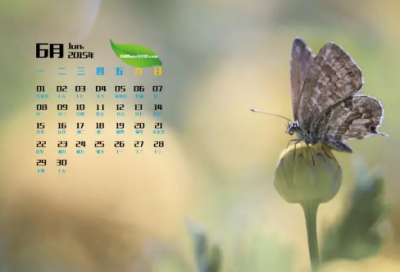 ​请给我结果读后感（行动决定结果）