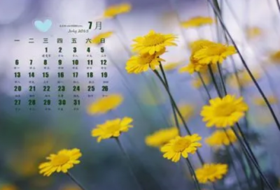 ​入党自我鉴定（预备党员考察鉴定表自我总结）