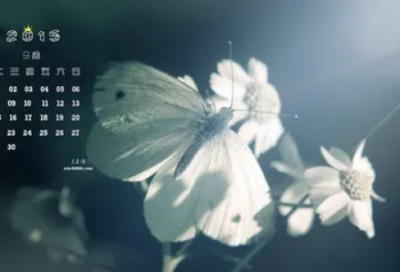 ​入党申请书2022最新版3000字范文