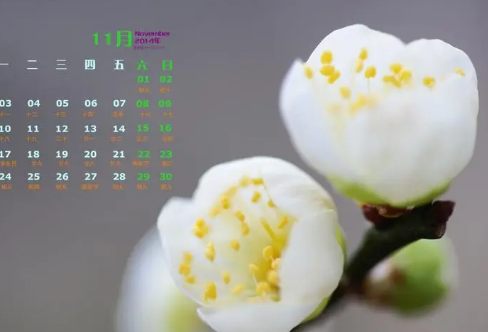 1710088597948284.png image.png