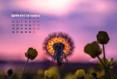 ​孔明介绍，三国时期是有两个孔明的