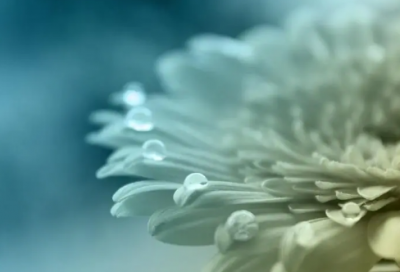 ​包法利夫人读后感（有关爱情的人性诘问）