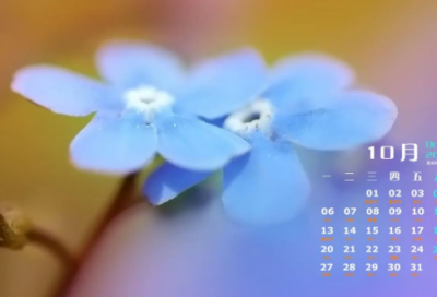 ​贝多芬传读后感（在音乐的世界里，所向披靡）