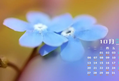 1710091477966724.png image.png