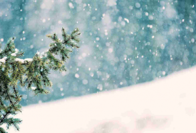 ​小鞋子观后感，伊朗电影《小鞋子》观后感