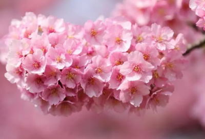 ​鲁滨逊漂流记读后感3篇（勇敢和坚持，让生活更美丽）