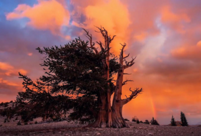 ​引人注目造句二年级简单 引人注目造句二年级下册简单