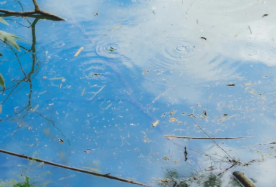 ​又灬又造句 那么…那么灬造句(精选37句)