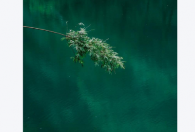 ​办法造句一年级一句话 三年级好句(精选37句)