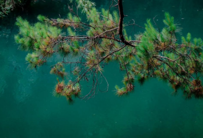 ​难过一年级造句大全 难过造句一年级一句话